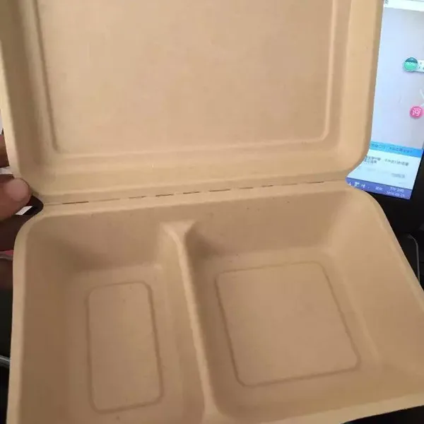 1000ml Double Grid Lunch Box 9 * 6 Degradable Environmental Protection Lunch Box Take Out Pulp Bagasse Lunch Box Disposable Lunch Box Single Double Grid Salad Box photo-3