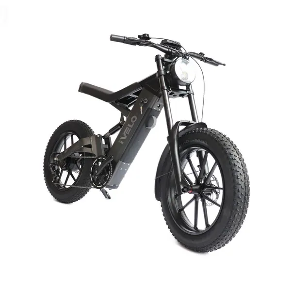 IVelo Fat Tire Electric Bike 20 Inch 48V 1000W Rear Motor With Swappable Battery for Adults photo-3
