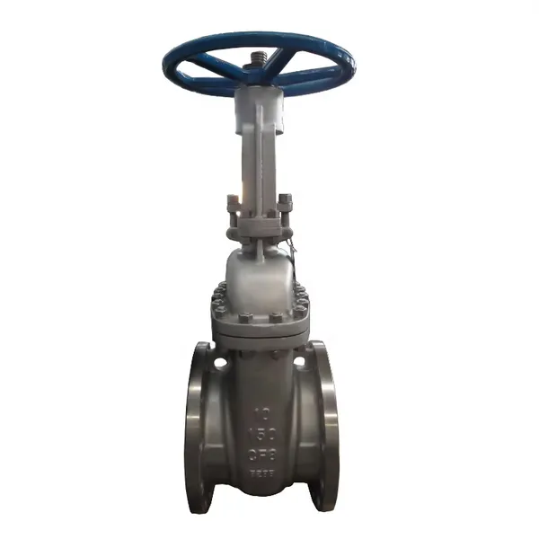 API Z41H/T 150LB CF8M CF3M WCB Cast Steel Stainless Steel Hard Seal Flange ANSI Gate Valve Supplier Price photo-4