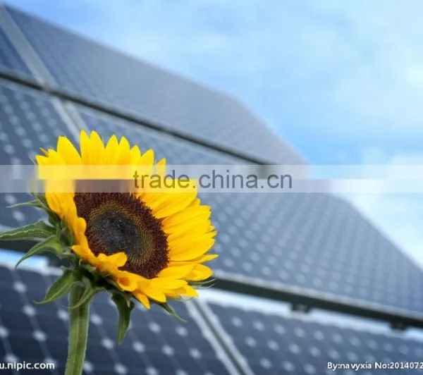 Residential Durable Off Grid 2KW Solar System photo-4