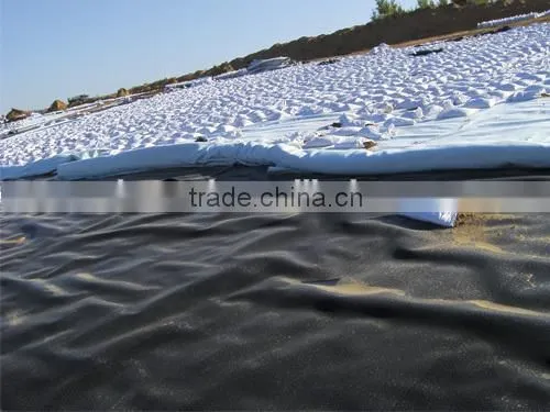 HDPE Geomembrane(1.0mm) for Fish Pond or Landfill Projects photo-2