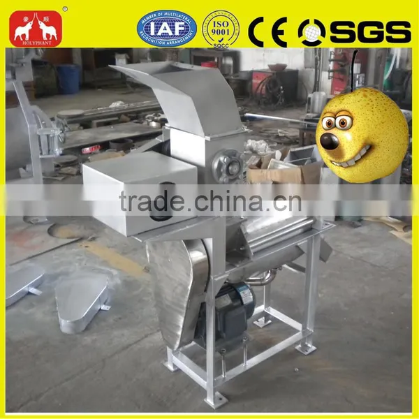 Wide Output Range Full Stainless Steel Pear Pulping Machine photo-3