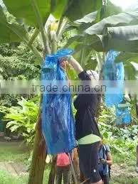 Hdpe Banana Bunch Covers With Micro Perforation photo-4