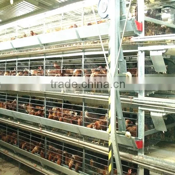 Automatic Chicken Layer Cage for Sale in Philippines photo-6