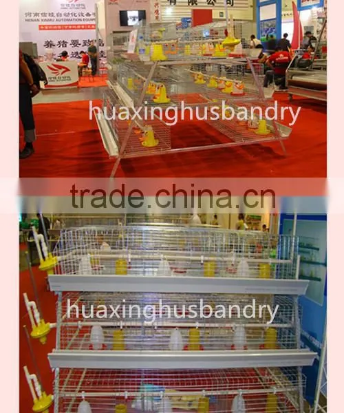 Broiler Chicken Cage/ Cages for Broilers/ Broiler Chicken Battry Cage photo-2