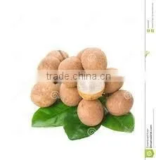 Canned Fresh Longan in Syrup -20 oz Tin (580 ml x 24 Tins) photo-3