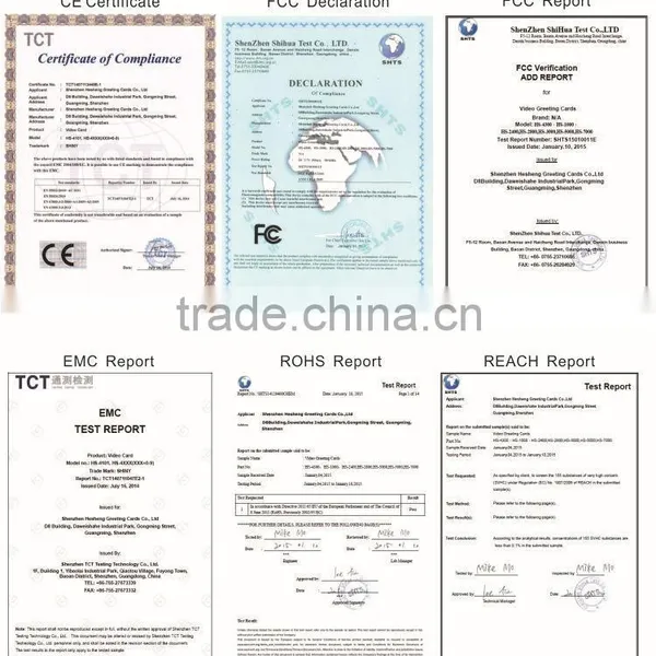 Top Quality 5" Customized Video Brochure photo-6