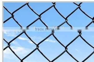 Supplier of Chain Link Fence Anping PVC COATED photo-2