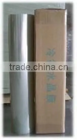 Polymer Dispersed Liquid Crystal Film