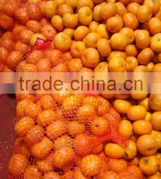 Chinese Fresh Orange photo-3
