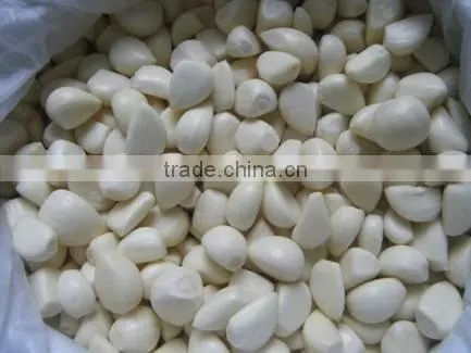 Frozen Peeled Garlic photo-6