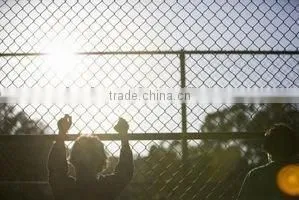 2016 Hot Sale Fence Series Manufacture Made in China Factory Low Price Abd High Quality Fence Wire Mesh photo-6