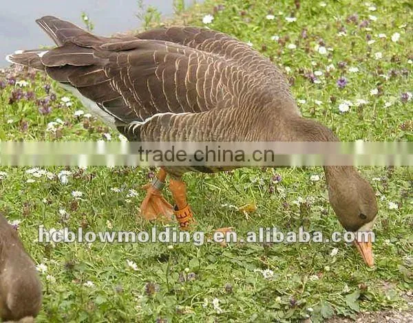 Shen Zhen Blow Mold Plastic Goose Decoys photo-2