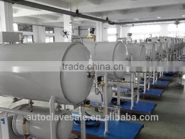 YX-280B Portable Sterilizer Autoclave - Bluestone Ltd. photo-2