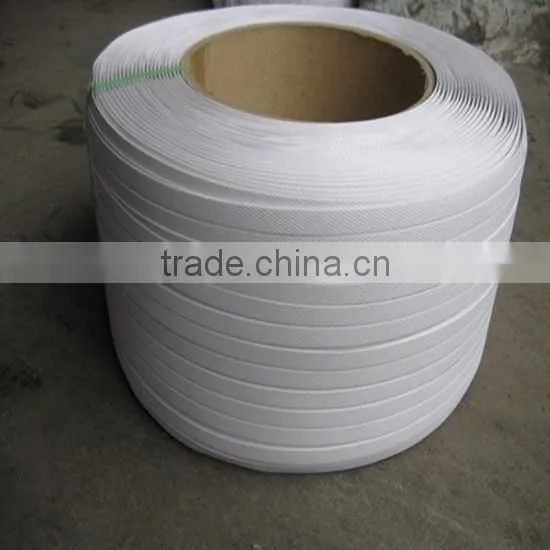 Colour PET Packing Belt photo-6