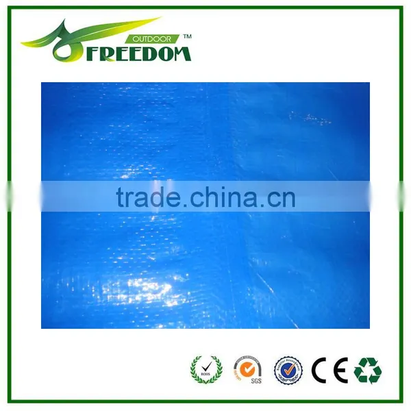 Factory Directly Supply Blue Tarps for Coverings photo-3