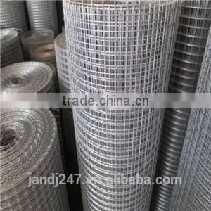 Galvanized Welded Wire Mesh From Guangzhou Supply photo-2