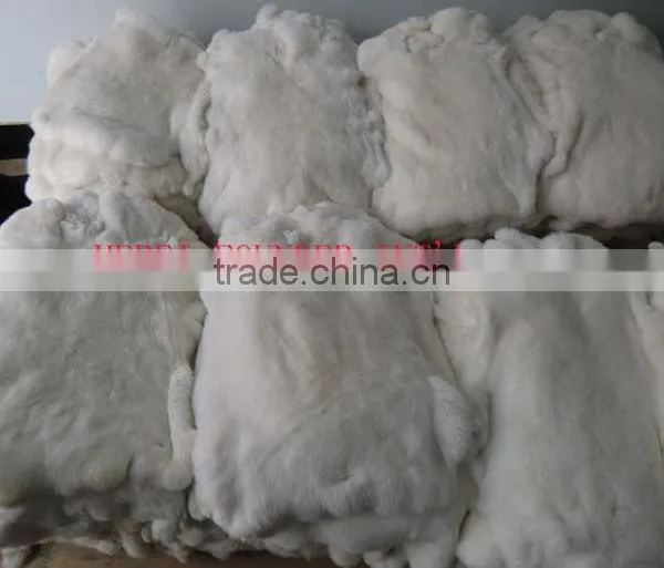Rex Rabbit Skins