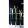 Glass Flower Vase
