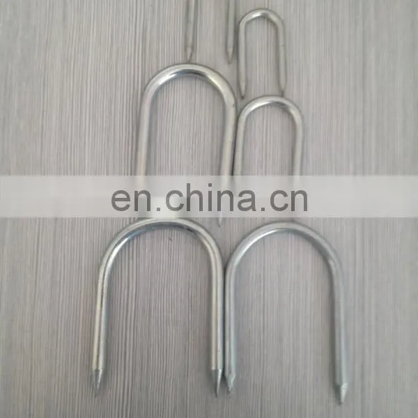 Hot Sale u Fence Staple/u Shaped Nails photo-4