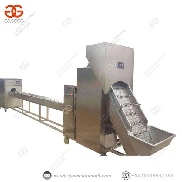 Professional Tomato Processing Equipment Onion Processing Machine photo-3
