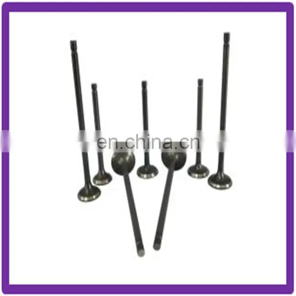 Farm Machinery Spare Parts Engine VALVE Fit for LOMBARDINI LDA 96 97 510 673 photo-2