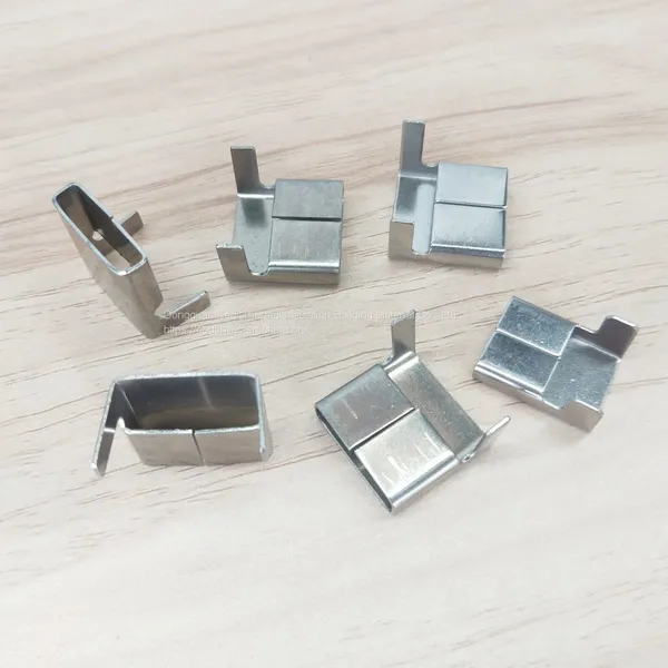 Ear Buckle photo-2