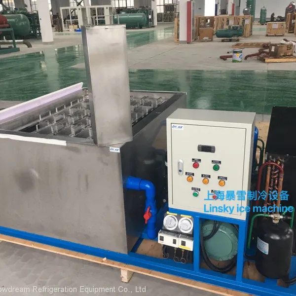 1000kg/24hr Brine System Block Ice Machine photo-4