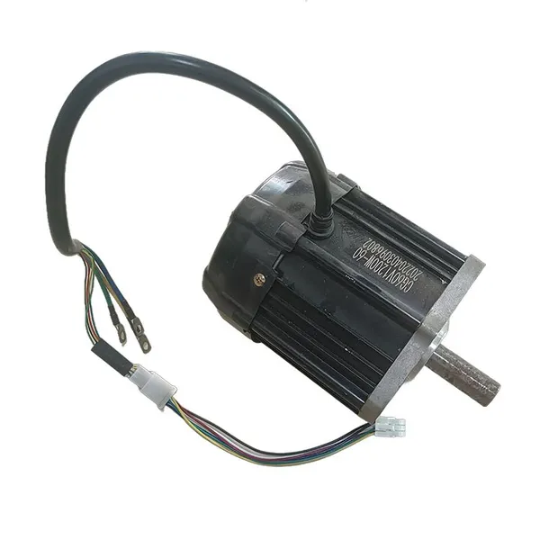 Constant Speed Double Track Cable Conveyor 900 DC Motor – Heavy-Duty Matching Motor