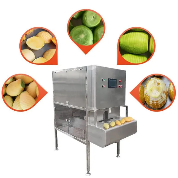 Factory Industrial PLC Full Automatic Apple Kivi Mango Peel Skin Removing Equipment Orange Lemon Peeler Fruit Peeling Machine photo-5