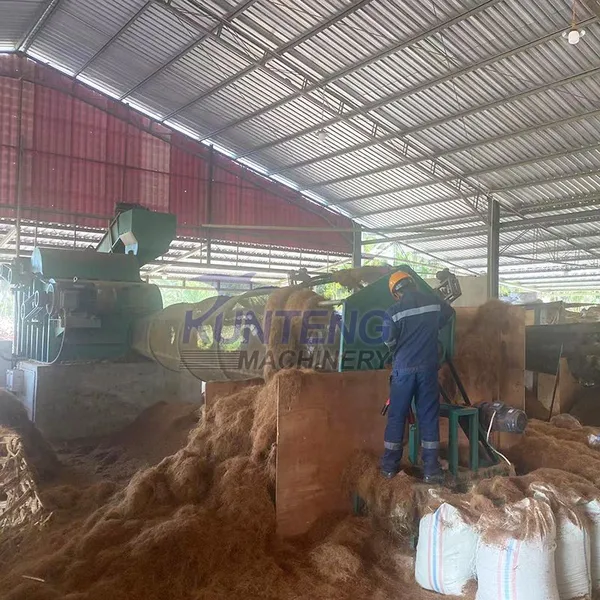 Coconut Shell Processing Production Line Coconut Shell Fiber Sisal Fiber Extraction Machine EPC photo-3