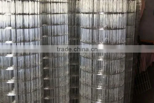 Welded Wire Mesh for Construction