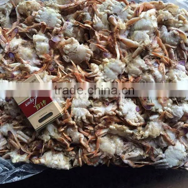 Frozen Sand Crab for Canning ( Ovalipes Punctatus) photo-3