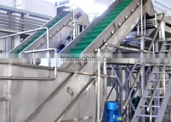 Stainless Steel Clapboard Elevator for Fruit and Vegetable photo-4