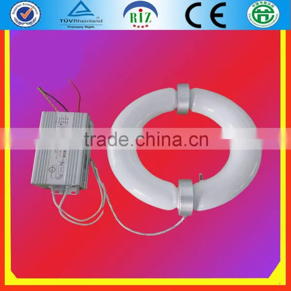 200w Induction Lamp Electronic Ballast