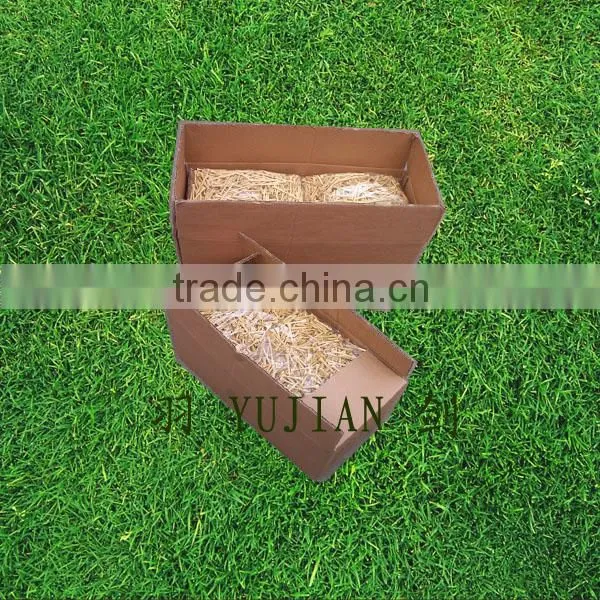 Carton Packing photo-2