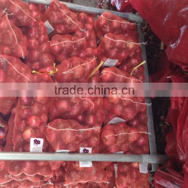 Fresh Onion Red Onion Dry Onion photo-3
