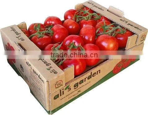 Fresh Tomatoes