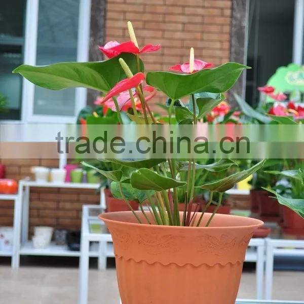 Rome Pot ( Plastic Flower Pot )