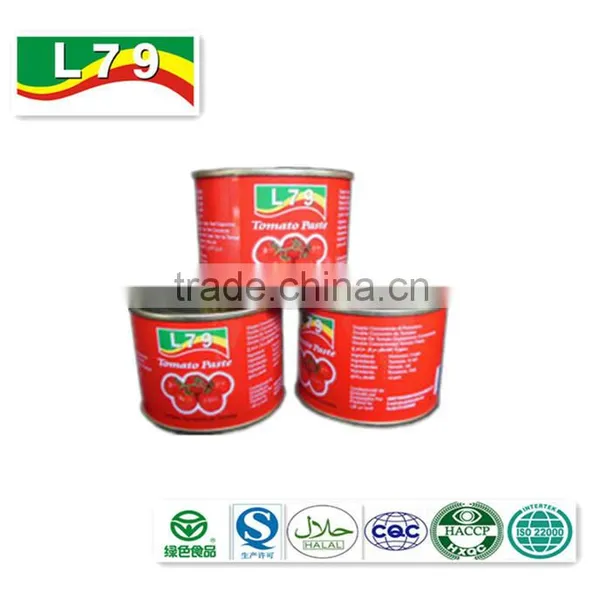 140G China Factory Hot Sell Nature Canned Tomato Paste photo-2