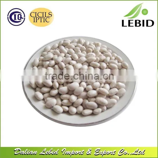 Low Admixture White Kidney Beans Japanese Type