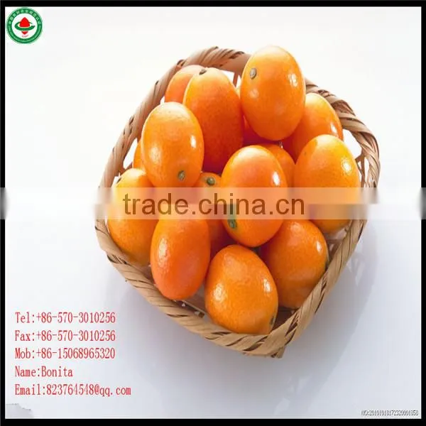 Mandarine Oranges