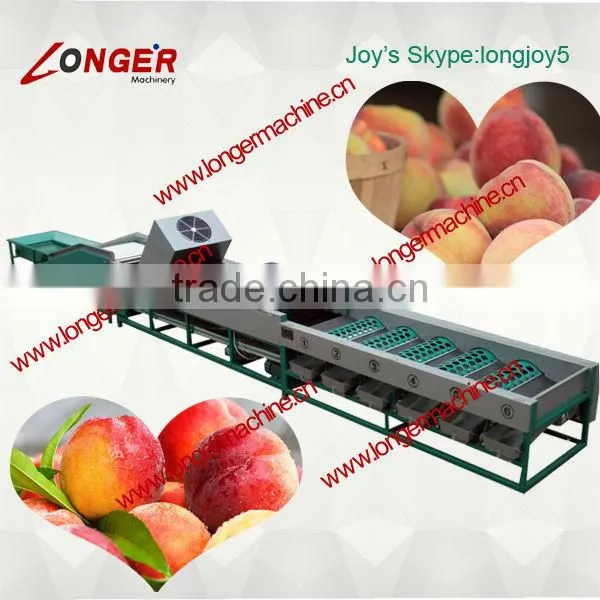 Automatic Commercial Fruit Grading Machine | Fruit Grader