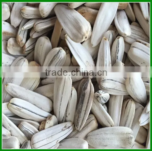 Sale Roasted and Salted White Striped Sunflower Seeds In Bulk