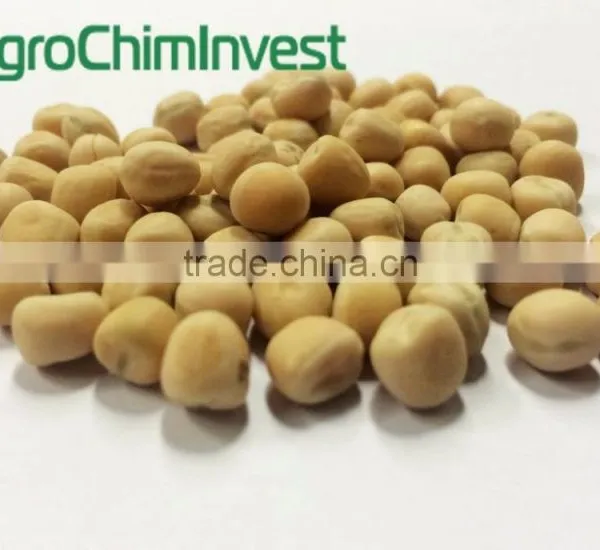 YELLOW PEAS photo-3