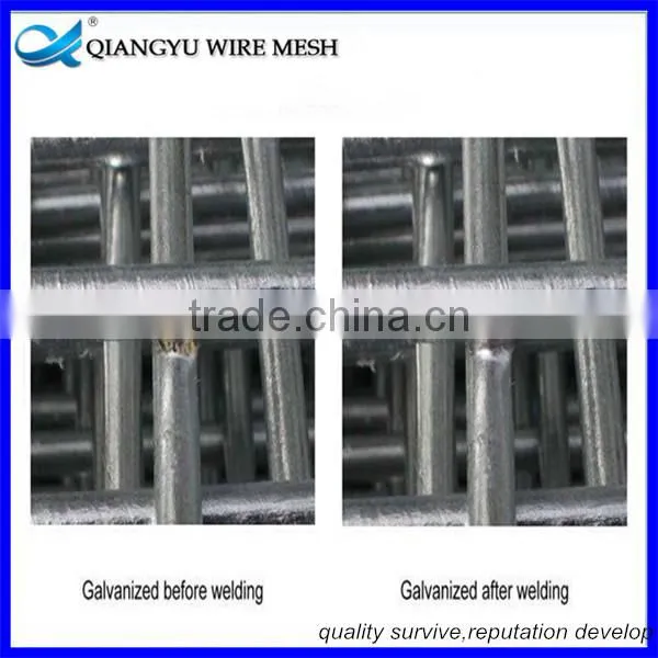 12 Gauge Welded Wire Mesh Panels, Curvy Welded Wire Mesh Fence, Galvanized 5x5 Welded Wire Mesh photo-3