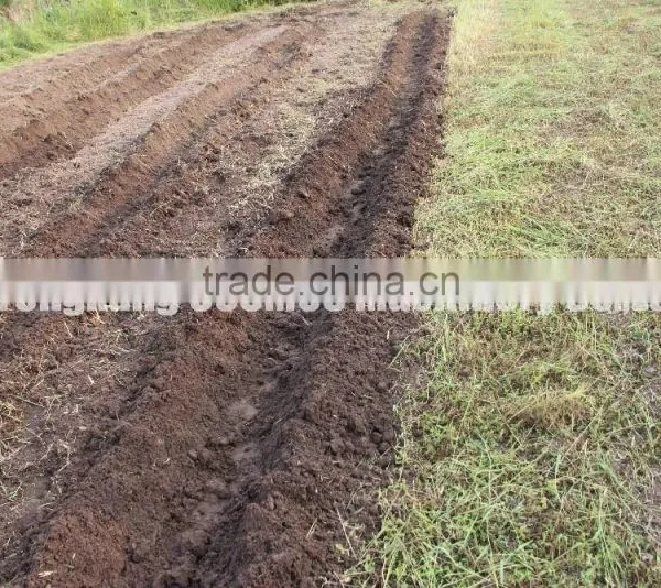 Multi-purpose Two Wheel Walking Tractor for Sale photo-5