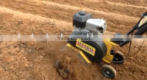 Hot Sale 6.5 hp Gasoline Tiller With Gear Transmission/Power Cultivator photo-2