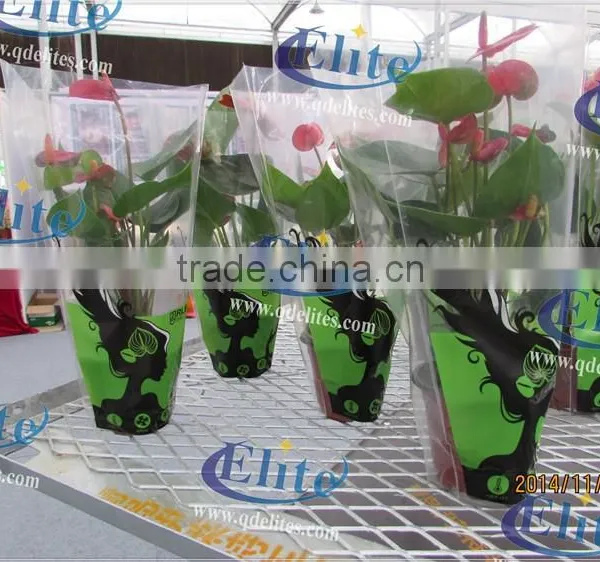 428 Danish Flower Trolley For Culture of Seedling photo-6