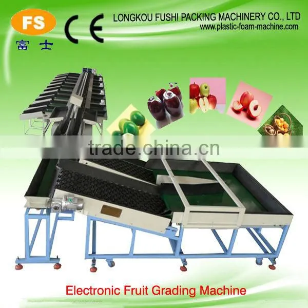 Fruit Washing and Waxing Machine photo-2